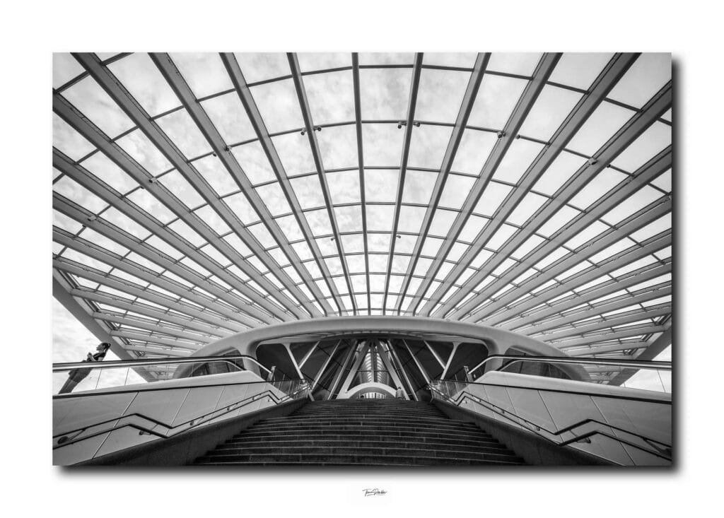 Web optimiert10 Kopie_web