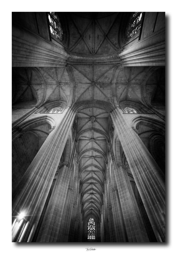 Web optimiert09 Kopie