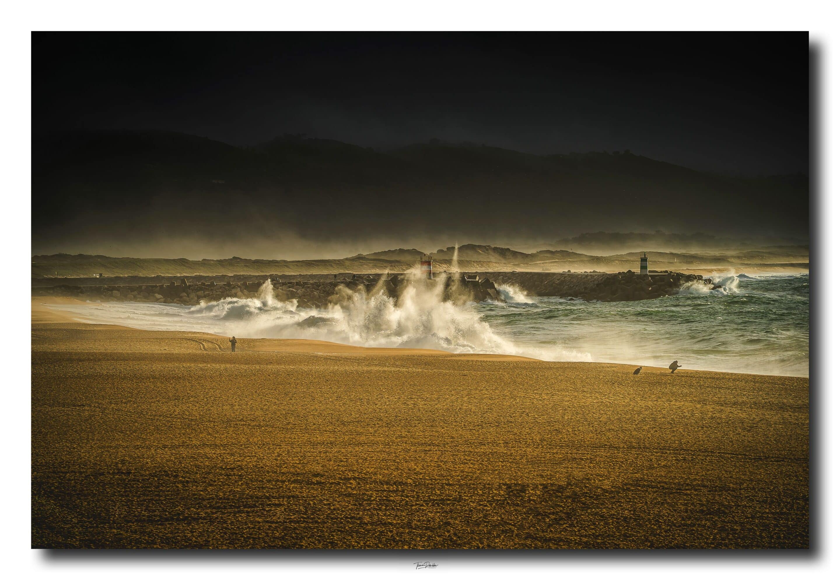 Web optimiert_DSC1311-2-2 Kopie-1