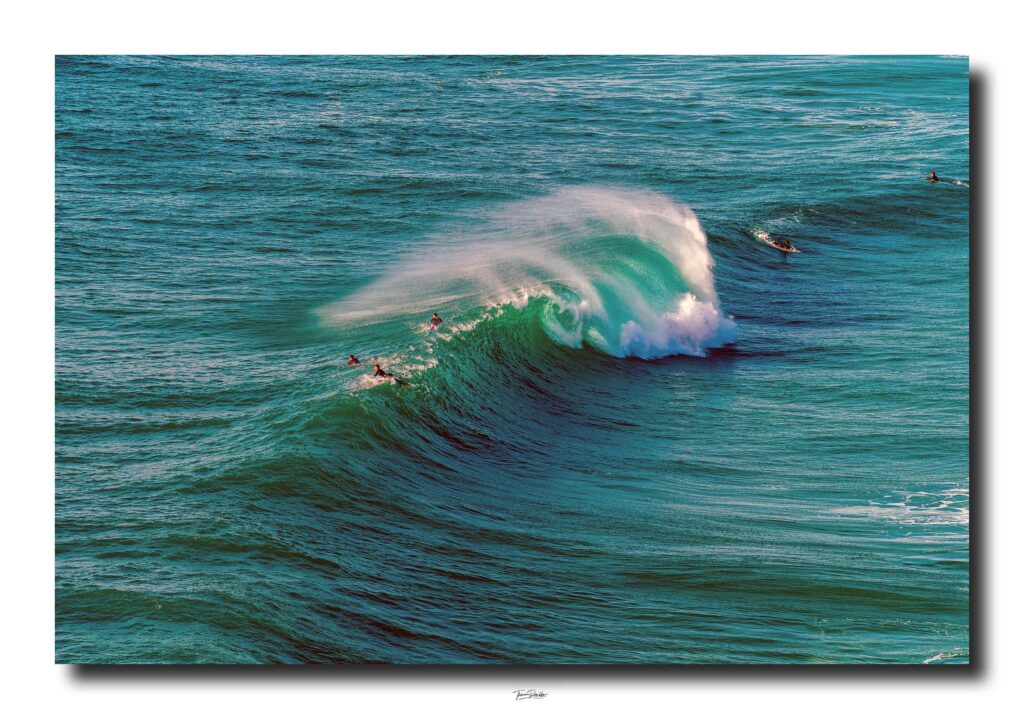 Web optimiert_DSC7815 Kopie