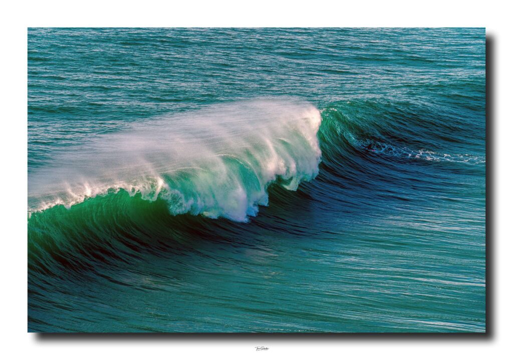 Web optimiert_DSC7904 Kopie